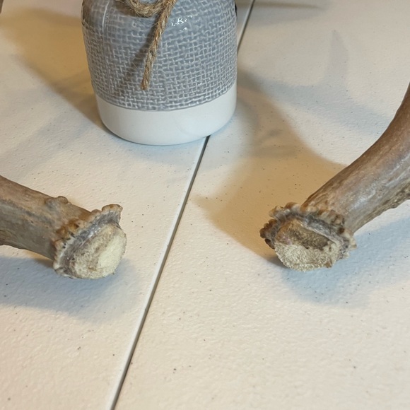 🦌5x4 Matching whitetail antler set - Picture 6 of 8